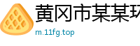 黄冈市某某环保机械设备维修网点